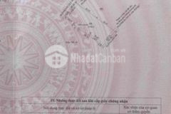 Bán đất lai hưng bàu bàng làm gì cũng được