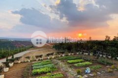 Đất thổ cư bảo lộc view suối