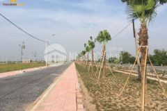 Bán đất đấu giá đông lâm ngã tư cao tốc ven biển