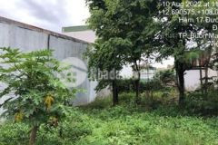 Lô b1 5x20m full tc bằng phẳng vay nh 1 tỷ