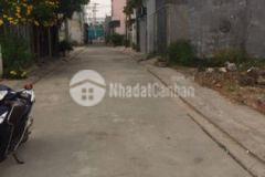 234h28 đường tam bình kp2 p tam phú t đức