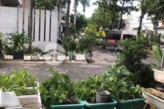 Nhà 59b nguyễn hữu dật phường tây thạnh quận tân p