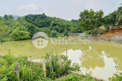 Bán gấp siêu phẩm bám hồ dt 2880m2 có 200m2 thổ cư view cực đẹp