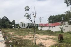 Đất full thổ cư xã tân an hội, sổ hồng riêng