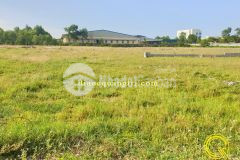 Ban lô đất giá rẻ tại gio quang, gio linh