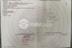 Bán 3 thửa đất diện tích 3 217m2 giá chỉ 16 tỷ