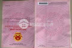 Đất thổ cư đường tỉnh 902