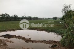 Đất huyện chương mỹ 1 260m²