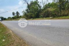 Đất lộc hưng trảng bàng qh phủ hồng shr