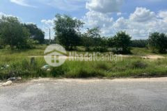 Đất gia lộc trảng bàng có thổ cư ngộp cần ra