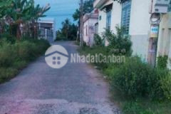 Đất thổ đường nhựa ô tô trường giang