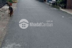 Đất đường nhựa thông sát bên làng đại học gần chợ