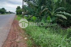 Chính chủ cần bán hết sổ 300trm còn tl