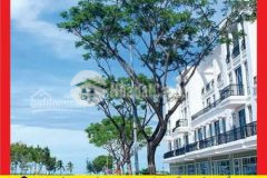 Đất mặt tiền sát bùng binh lớn nguyễn sinh sắc