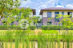 Villa kênh đào kế bến du thuyền compound an ninh