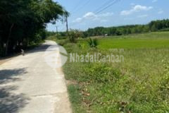 Gấp gấp bán lô khánh bình bà dùi khánh vĩnh