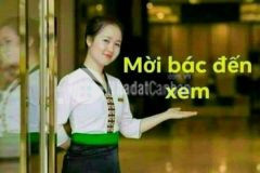 Bán nhà tả thanh oai thanh trì hn