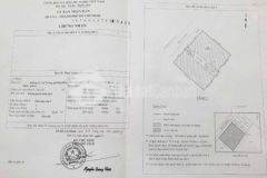 Nhà mặt tiền lý tự trọng q1 870m2 đất