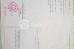 Đất thổ lang gần bà kiểu dt826c