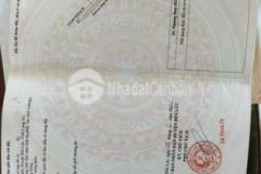 Bán lô thổ 200m2 nhựt chánh chủ đang ngộp