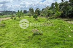 Còn vài lô ôm suối cực đẹp giá chỉ 3 8trm2