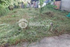 Nền full thổ cư gần chợ gía đẹp bán gấp trong tuần