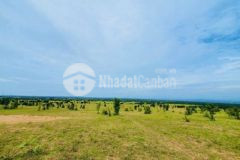 Tài chính 500 triệu sở hữu ngay 3 sào đất vườn