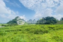 Siêu phẩm nghỉ dưỡng diện tích 1ha có sẵn 1000m2 thổ cư sở hữu tầm view triệu đô