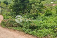 Đất nền mộc châu. hot, ngon, bổ, tiềm năng