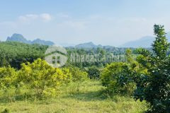 Siêu phẩm nghỉ dưỡng dt 1,7ha tặng kèm căn nhà sàn view triệu đô