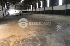 Cho thuê nhà xưởng kv 4000m2, kho, vp 3000m2 tân thới nhất quận 12
