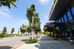 Suất nội bộ nền ngay chợ bình chánh, giá tốt nhất. 890tr sở hữu ngay, shr