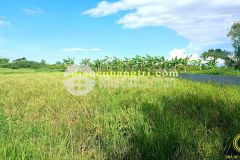 Bán đất tại bích la đông, triệu thuận, triệu phong