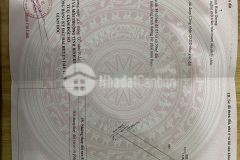 Siêu phẩm, đầu tư tốt, giá mềm, shr, trên 1000m2, tại minh tân, dầu tiếng, bình dương.