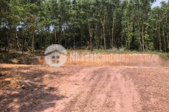 Cần bán đất vân đồn ngay khu logicstic, khu cn