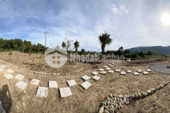 Xu hướng đầu tư cuối năm đất vườn sinh thái view sông khánh hiệp khánh vĩnh