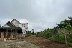 Gia đình định cư ngoài bắc nên cần sang lại lô đât