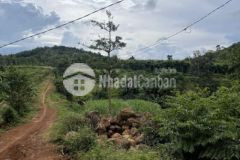 Cần bán 3ha đất rẫy có sẵn thổ cư cây trồng