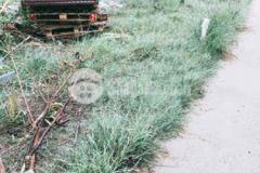 Bán lô đất kdc phước lại giáp nhà bè