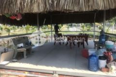 Nhà vườn củ chi 1000m2 1 7 tỷ shr tỉnh lộ 7