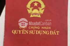 Nhà hai mặt tiền bùi văn bình phú lợi