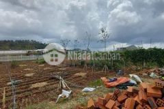 Chính chủ đà lạt kẹt bán 893m2 nguyễn hoàng đà lạt