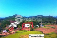 1100m 631 tân lạc giá 5xx đg rông