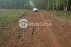 Cần tiền mở tiệm nail cần bán gấp lô đất 1000m2