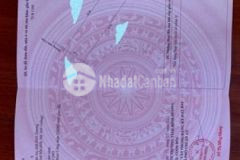 Bán đất vườn an sơn giá tốt còn thương lượng