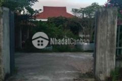 Bán nhà khu phố long bình thị trấn chí thạnh huyện