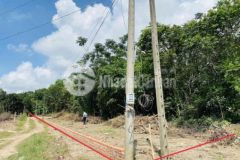 Chính chủ bán đất 992m2 mặt tiền tỉnh lộ 15