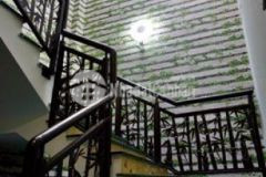 Biệt hồ bơi hxh 343 nguyễn trọng tuyển p1