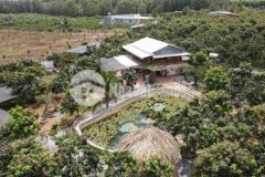 Bán lô đất 1050m2 20x50m chính chủ dân đông shr