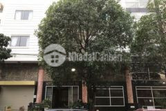 Chuyển nhượng mặt bằng hotel phường 16 quận 8